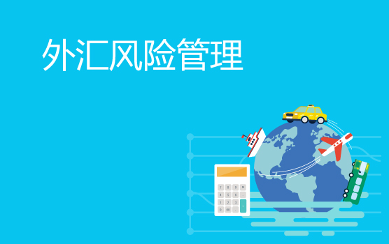 新常态下企业汇率风险与跨境资金管理（上海站）