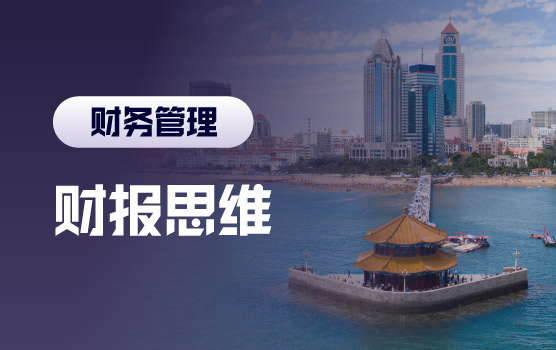 洞察报表奥秘，建立完整的财务分析思维