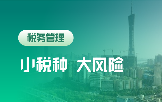 金税四期+增值税法新时代，全案例解析小税种风险管控实务