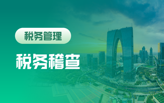 从数电发票看“以数管税”下的稽查方法及应对策略