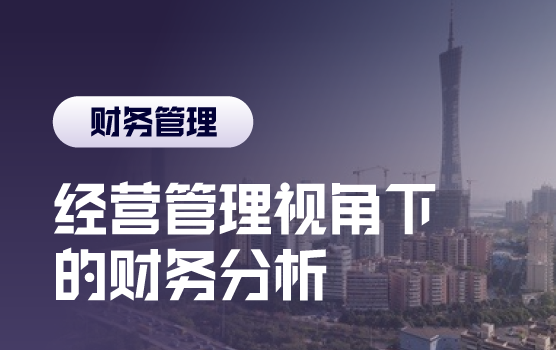 财务分析训练营：数字化时代，企业经营管理视角下的财务分析