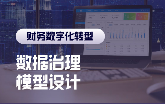 IPA—业财一体化之数据治理与模型设计