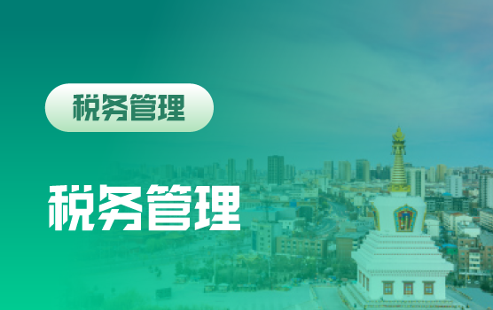 税务管理训练营之数字管理环境下企业税务管理与风险防范