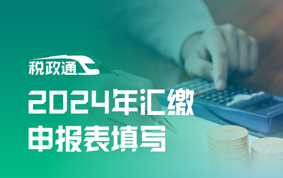 IPA-2024年企业所得税汇算清缴申报表调整与操作要点提示