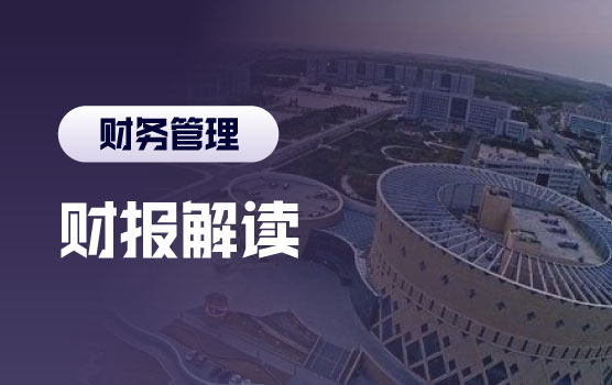 财报解读实战：读懂公司经营的底层逻辑