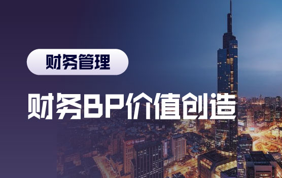 财务BP案例训练营：解析七大环节，创造BP价值