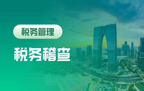 2024税务稽查新形势及实例中的风险识别与应对