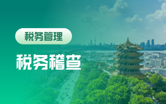 2024税务稽查评估涉税指标预警与合规纳税规划