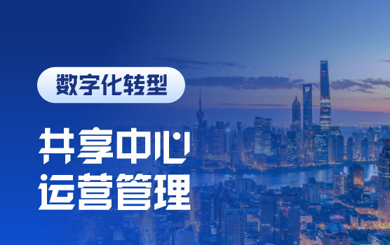 打造卓越财务共享中心：运营管理实战指南