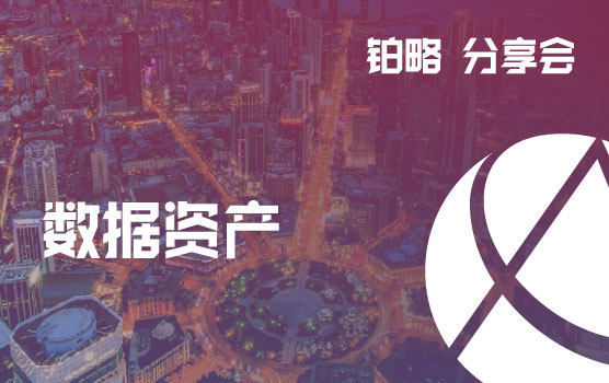 铂略分享会-数据资产智慧挖掘：释放企业净利润增长新动力