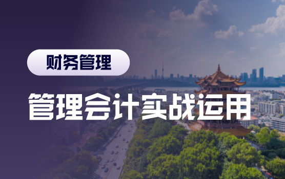 2024数字化时代下新晋财总管理会计实战运用Ⅰ