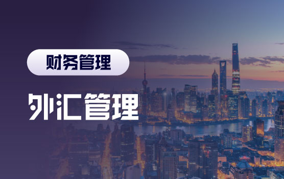 最新外汇动态及企业外汇管理实务