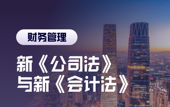 新《公司法》与新《会计法》财务视角分析及其影响应对