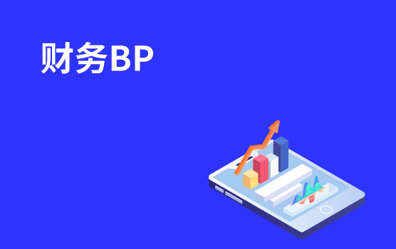 财务BP