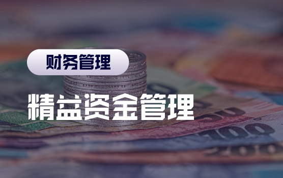 集团化资金精益管理之实现手段及管控工具
