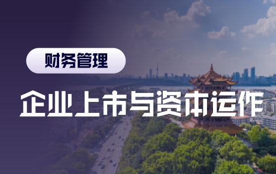 战略资本训练营之企业上市与资本运作