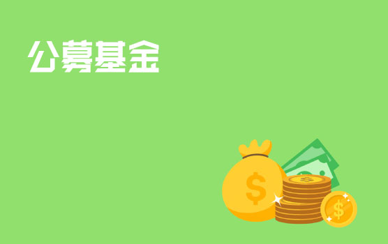 【迷你课】课程导读：公募基金初解