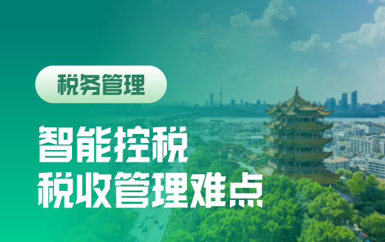 2024年税收新政梳理及关账前涉税风险核查及税务稽查应对策略