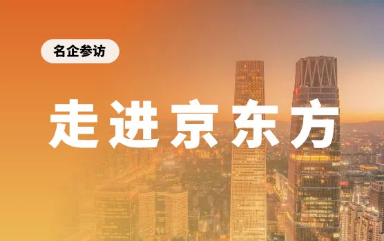 走进京东方