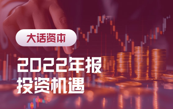 上市公司2022年报解析与投资机遇探索