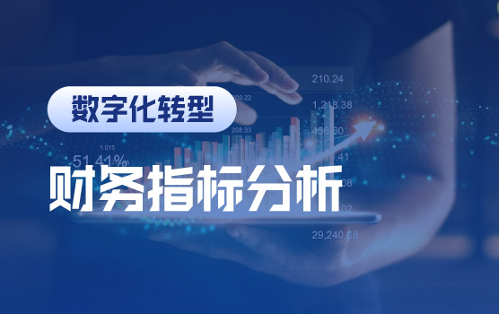 告别Excel和PPT，一键生成可视化报表：财务分析报告