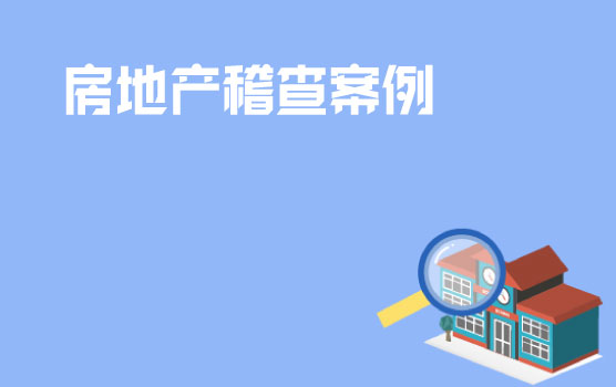 房地产企业典型税务稽查案例