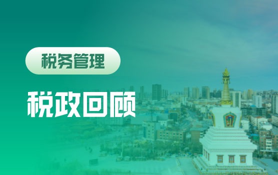 2024年度核心税收政策盘点与应用要点解析