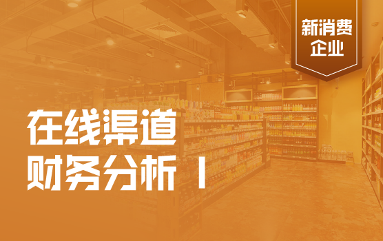 在线渠道财务管理与财务分析实务 I