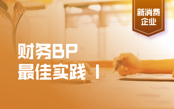 大众消费及零售企业财务转型最佳实践之财务BP I