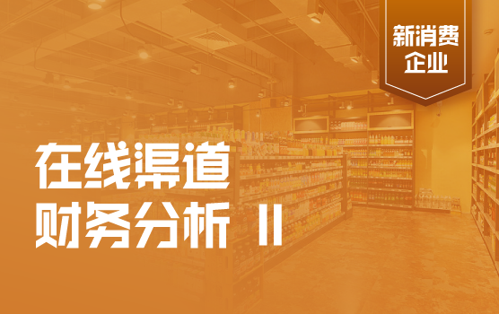 在线渠道财务管理与财务分析实务 II