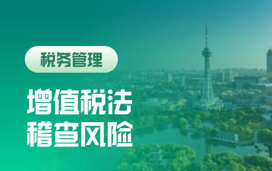 增值税立法下2025年税务稽查重点行业分析及吉林省涉税指标预警