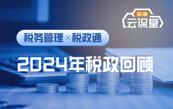2024年税政回顾与实战应用解析