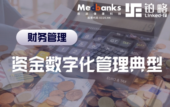 资金数字化管理典型案例解析与工具运用Ⅰ