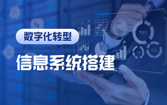 财务管理信息系统搭建