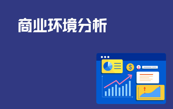 商业环境分析模型在实践中的应用