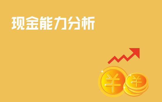 企业现金能力分析实务