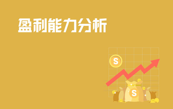 企业盈利能力分析实务