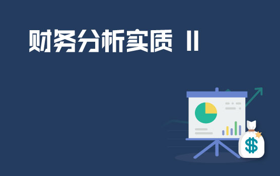案例解析财务分析的实质 II