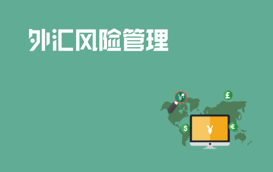 企业外汇风险管理初探