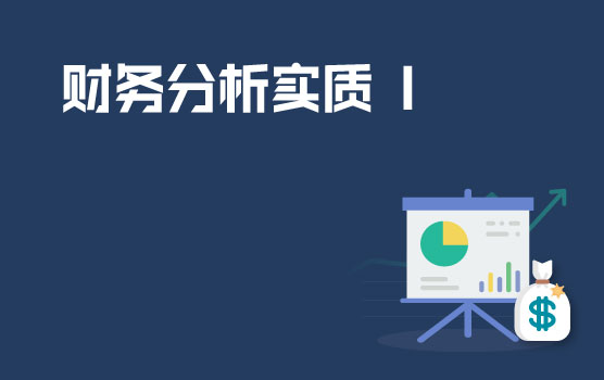 案例解析财务分析的实质 I