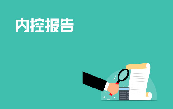 企业内控报告撰写思路