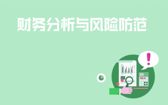 财务分析与风险防范的基本体系与方法