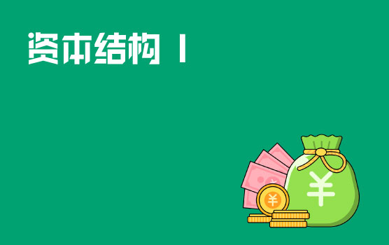 资本结构创建与调整的财务与税务处理 I