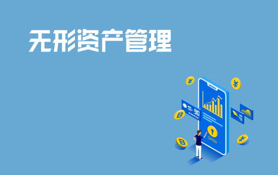 企业无形资产管理中的税务风险与筹划