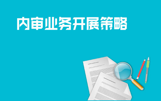 熟悉内审流程，推进项目开展