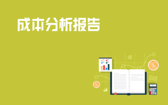 成本分析报告的新思路
