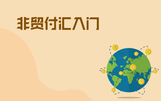 零基础了解服务贸易对外支付