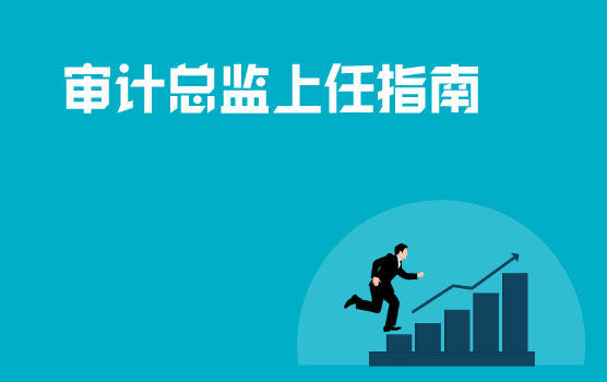 烧旺上任三把火，审计总监入职攻略