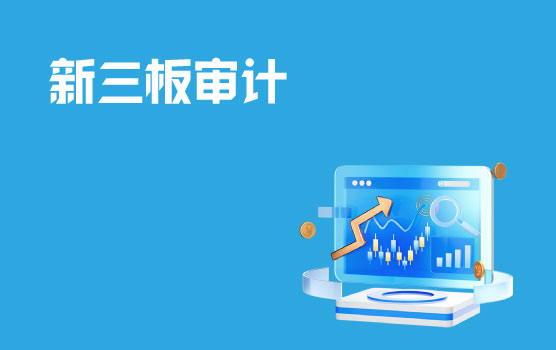 新三板审计的财务与税务问题 II