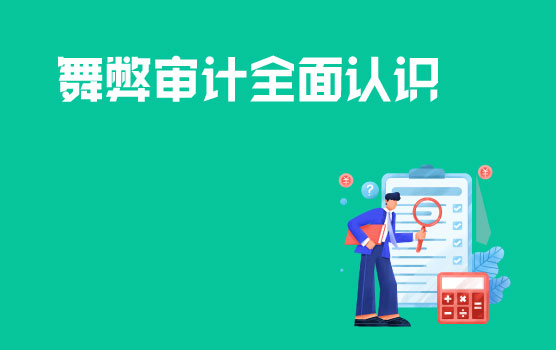 舞弊审计技巧大揭秘